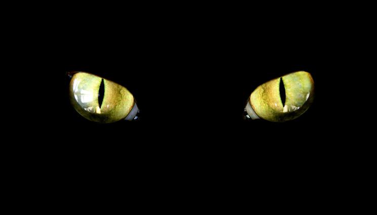 очи - МИСТЕРИОЗНО: Зли същества нападат хора нощем!