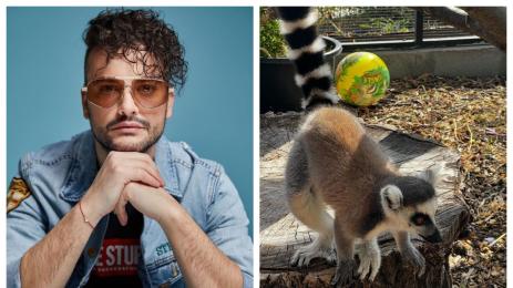 Стефан Илчев