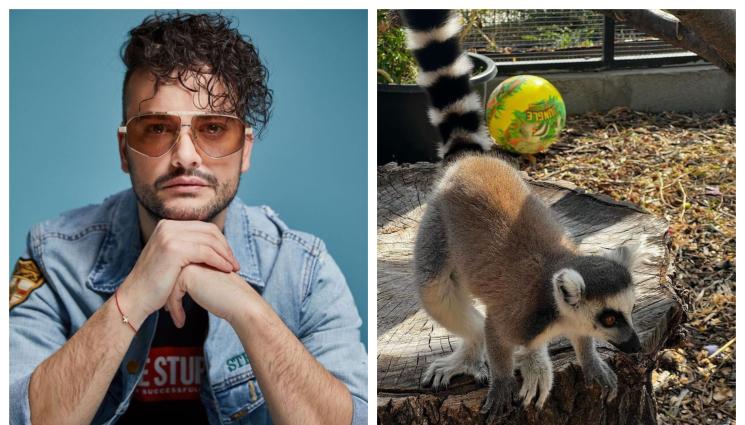 Стефан Илчев - ДОБРА ДУША: Стефан Илчев осинови лемур!