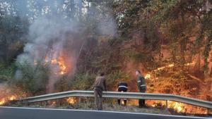 Огнеборци два дни са гасили горски пожар край ловешкото село
