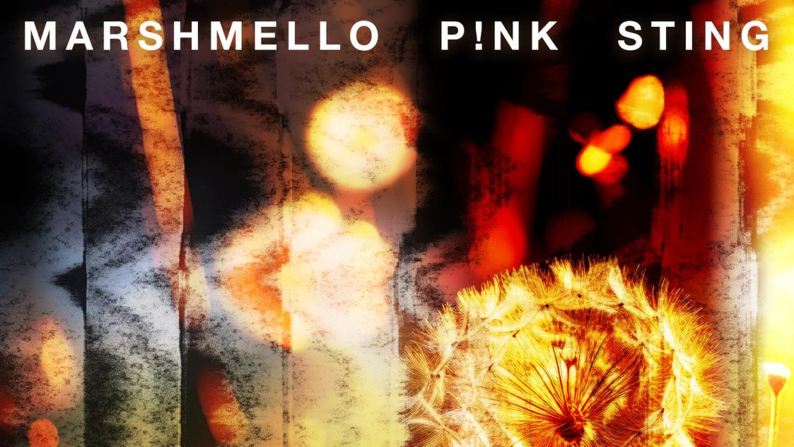 Pink, Sting и Marshmello с нов сингъл - "Dreaming"