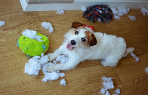 куче играчки унищожение