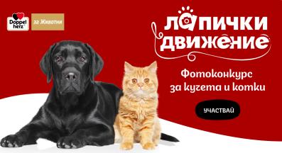 лапички в движение