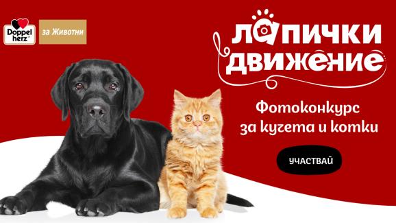 лапички в движение