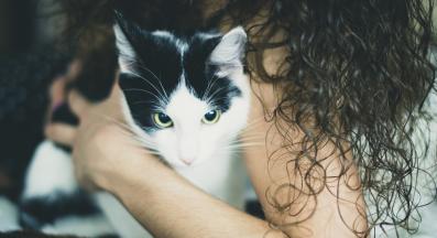 котка и стопанка