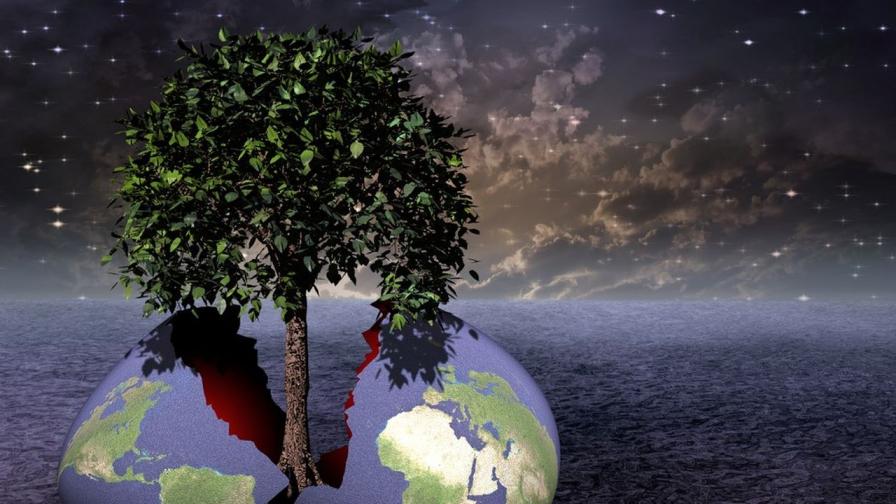 Глобалното унищожаване на горите нараства със страшна скорост