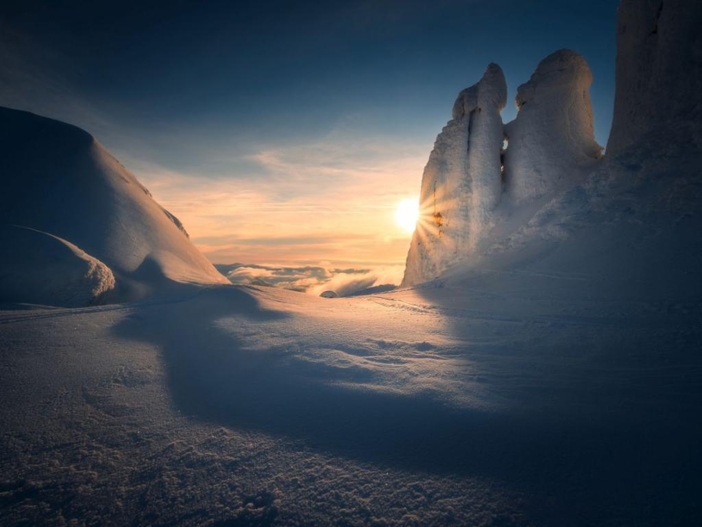 Антарктида невинаги е била пуста земя от лед и сняг