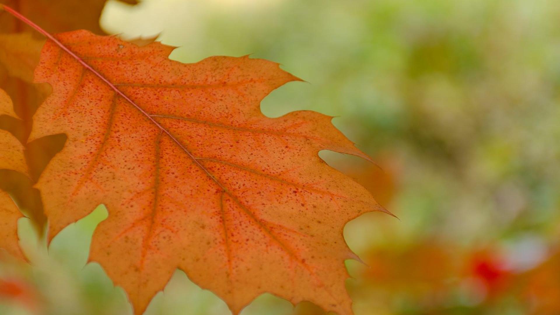Впоследния ден на август и на прага на настъпващия септември