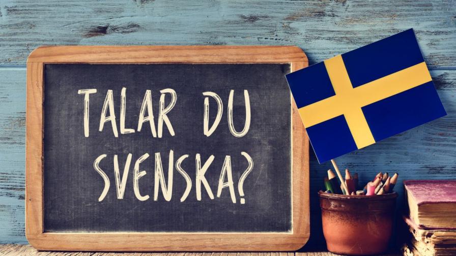 "Сега вече сме готови": След 140-годишен труд речникът на шведския език е завършен