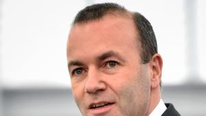 манфред вебер