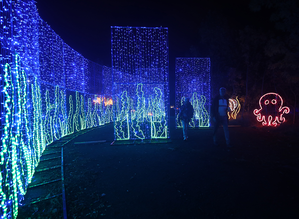 <p>Вълшебната градина Lumina Park</p>