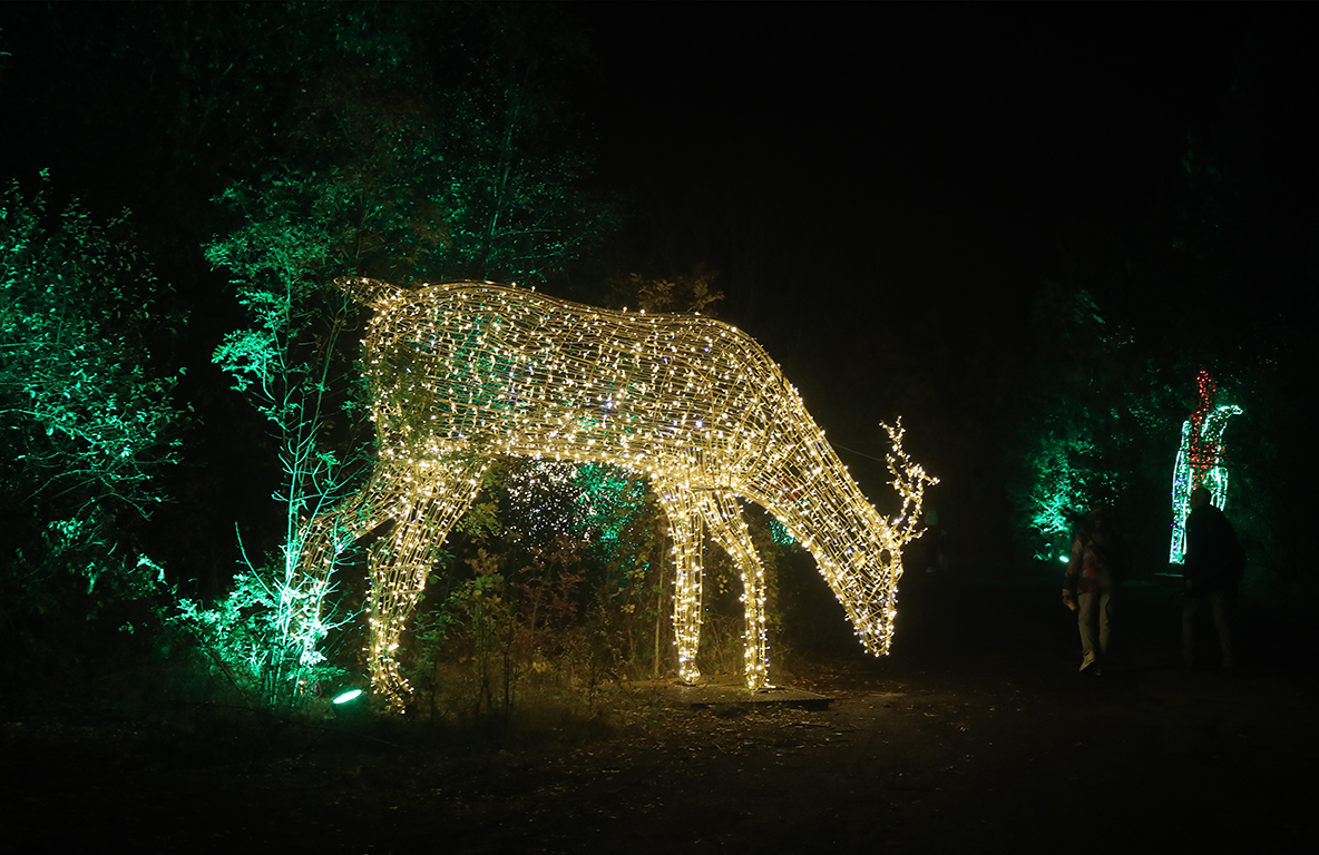 <p>Вълшебната градина Lumina Park</p>