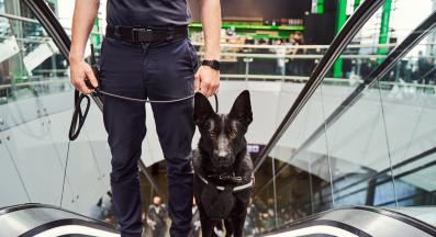 куче ескалатор