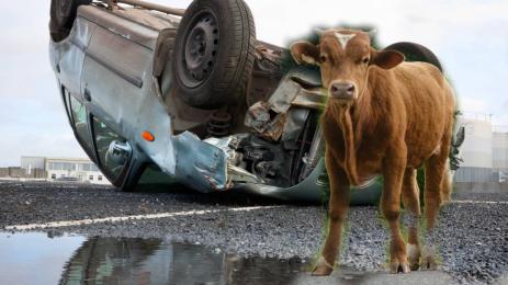 катастрофа с теле