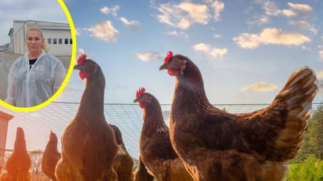 Калина Широкова