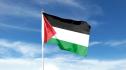 Палестина флаг