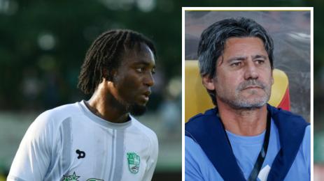 Вини Трибуле