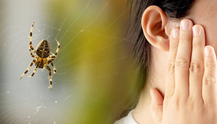 паяк ухо - УЖАСЯВАЩА ГАДОСТ! Паяк се засели в ухото на жена!
