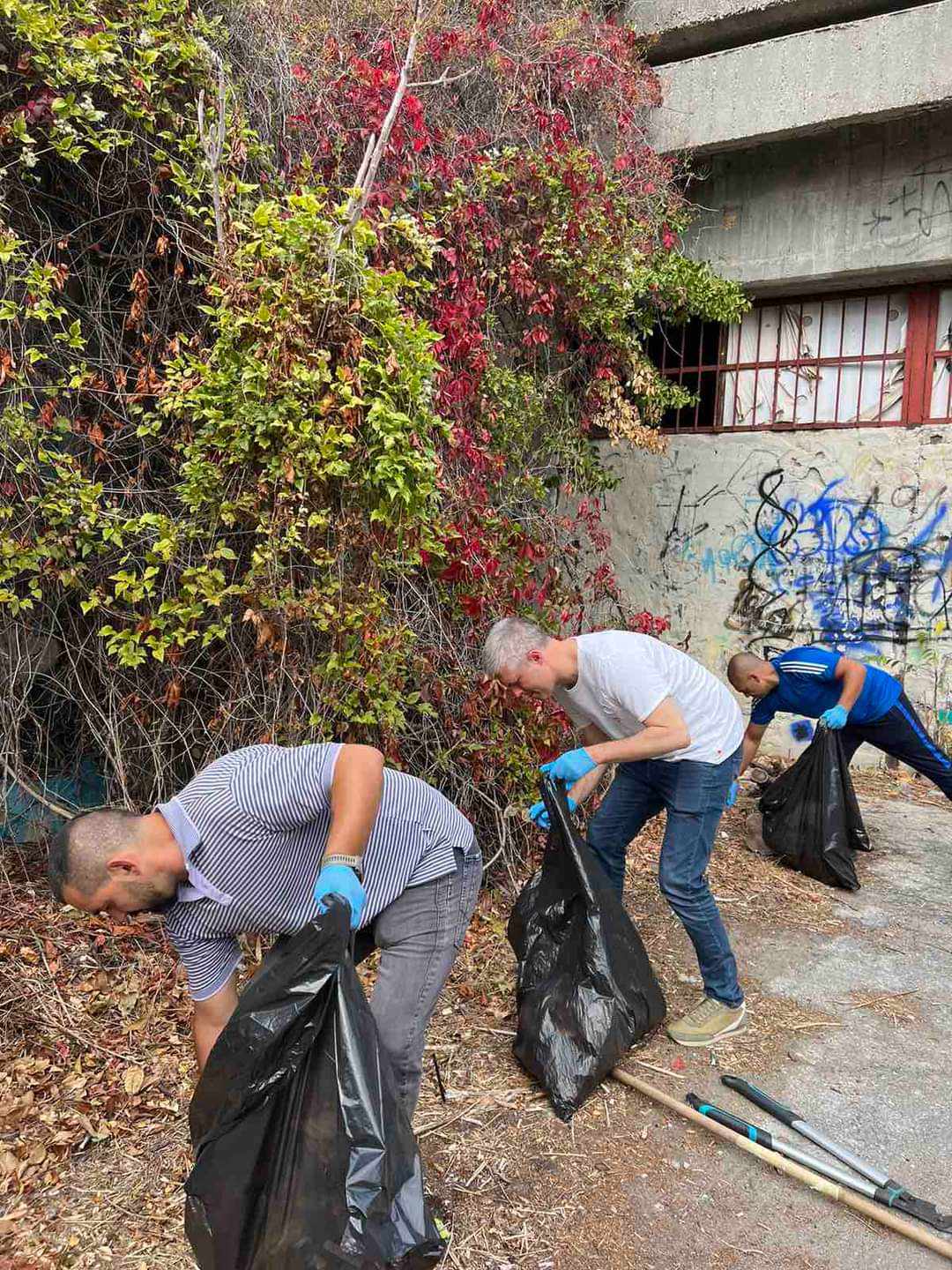 кампания хитове