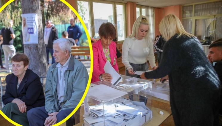 избори - МЕСТНИ ИЗБОРИ 2023: Жабокрът иска в Шенген, местните избраха зелето пред урните!