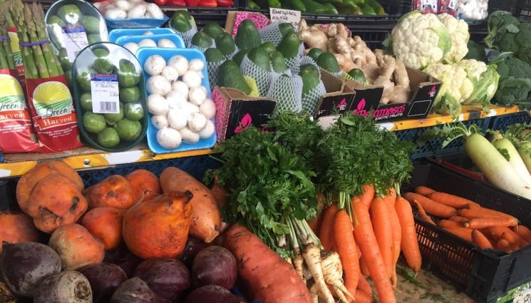 моркови пазар - Агро Телеграф: Създадоха грозде, което не вкисва виното