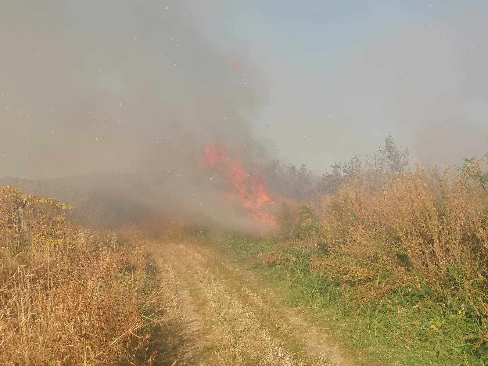 пожар стара загора