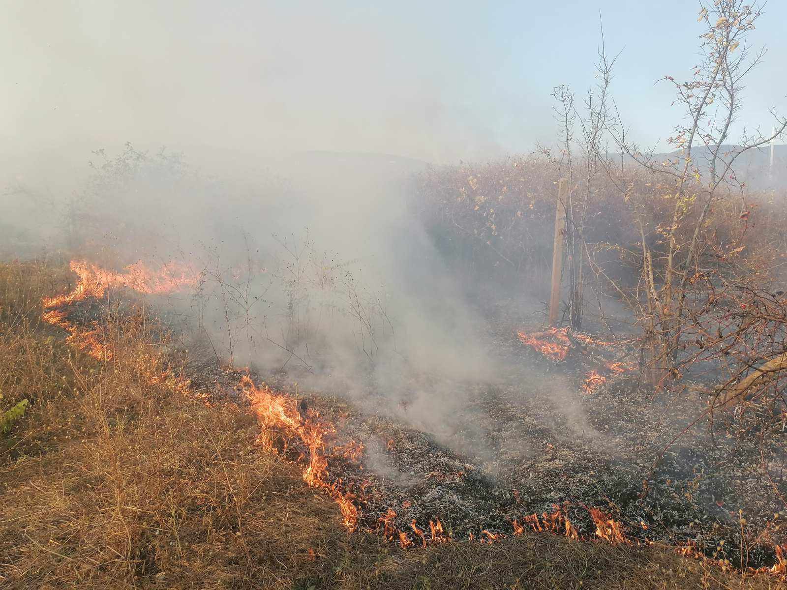 пожар стара загора