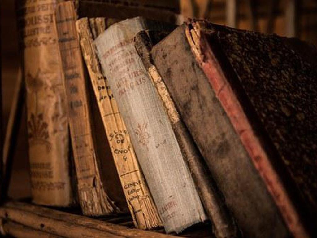 Десетки редки руски книги от XIX-и век бяха откраднати от