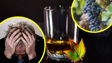 ракия грозде мъка