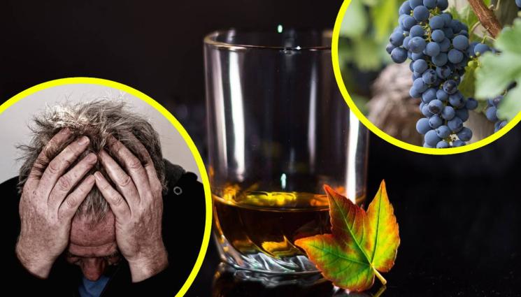 ракия грозде мъка - УДАР ПО НАЙ-МИЛОТО: Домашната ракия става кът!