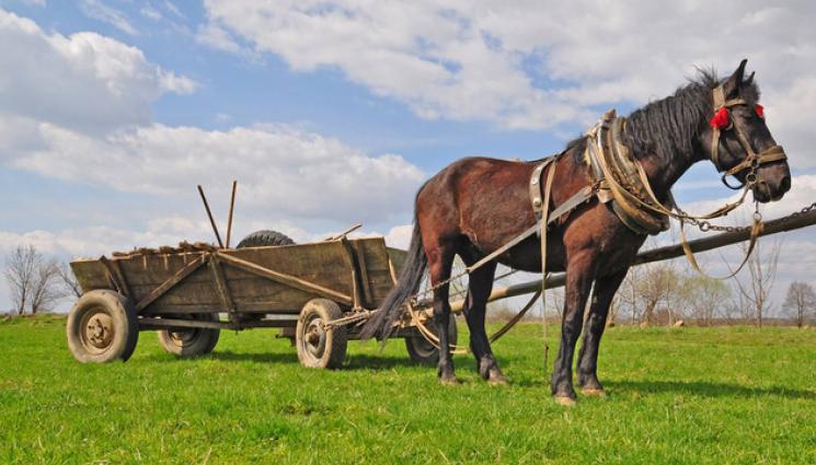 каруца - ВНИМАНИЕ! Каруца камикадзе тероризира столицата (СНИМКИ)