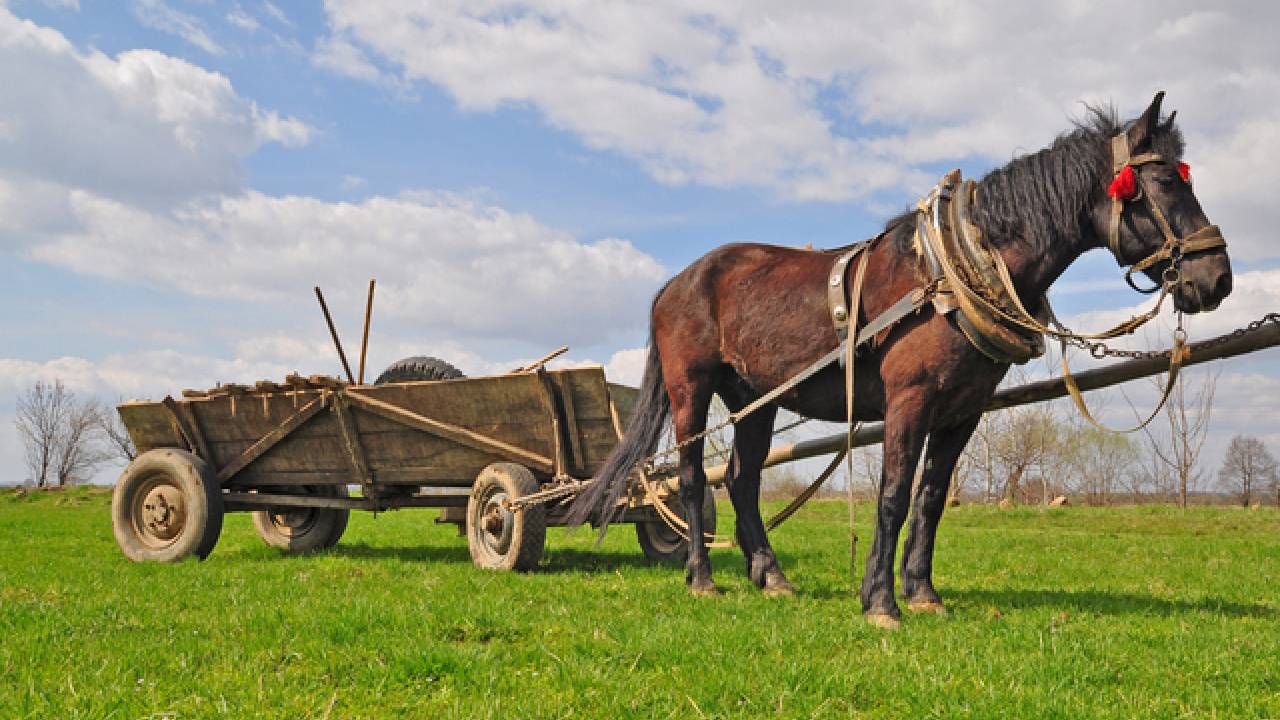 Мъж загина след инцидент с каруца в Сливенско