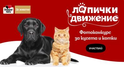 Лапички в движение