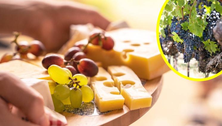 грозде - КАК ДА СЕ РАЗКРАСИМ: Грозде за детокс и стройна фигура