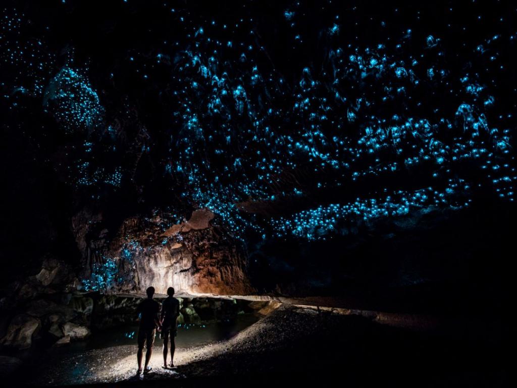 Пещерите на светещите насекоми Уайтомо в Нова Зеландия могат да
