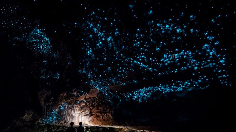 “Подземна галактика”: Уникалната пещера в Нова Зеландия, осветена в синьо и зелено
