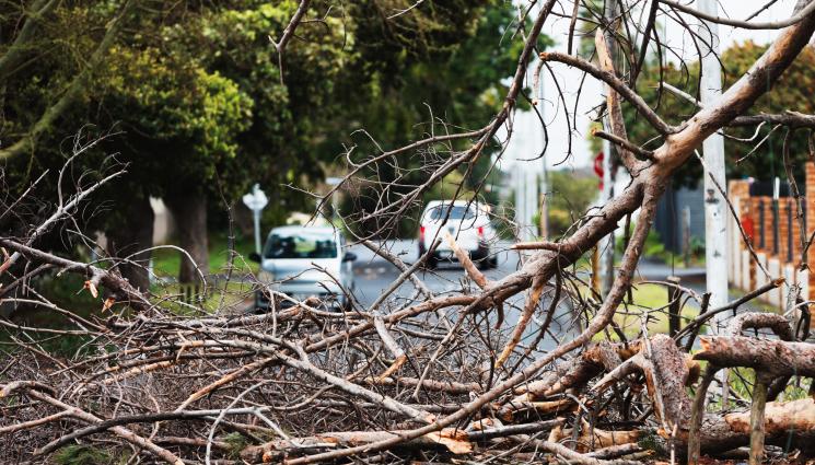 буря - СЛЕД НОЩНАТА БУРЯ: Аварийни екипи накрак!