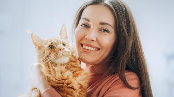 7 съвета за социализиране на възрастни котки