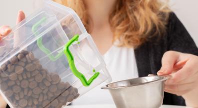 кучешка храна