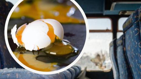 автобус камъни яйца