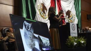 Мексиканският парламент изслуша учени които са на мнение че са