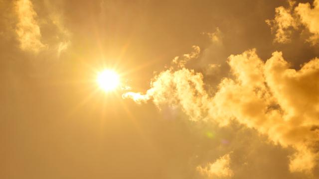 „Почти сигурно“: 2023 г. ще бъде най-топлата за последните 125 000 години