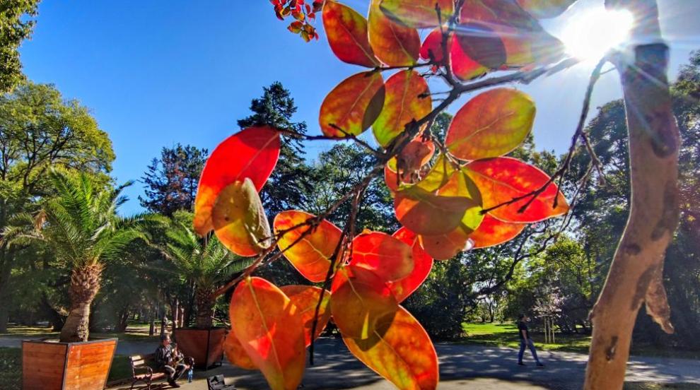 Варна се „облече“ в есенна премяна (ГАЛЕРИЯ)