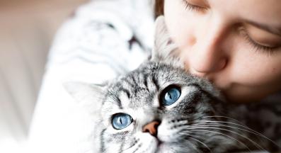 котка у дома