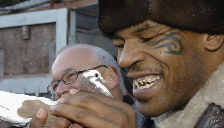 Майк Тайсън - ЛУД ЗА ВРЪЗВАНЕ: Майк Тайсън стъпи на Стария континент, купи 100 гълъба!  (СНИМКИ)