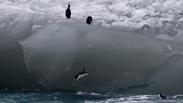 Изкуствен интелект картографира айсберги 10 000 пъти по-бързо от хората