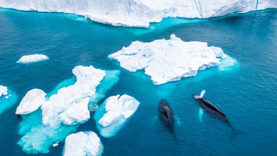 10 000 пъти по-бързо от хората: Изкуствен интелект картографира айсберги