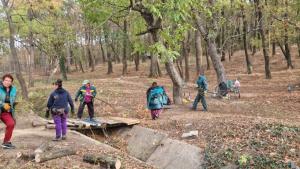 Общинското предприятие Флора започна почистване на боровата гора край Търговище