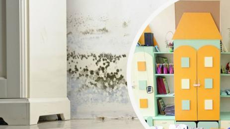 детска градина мухъл