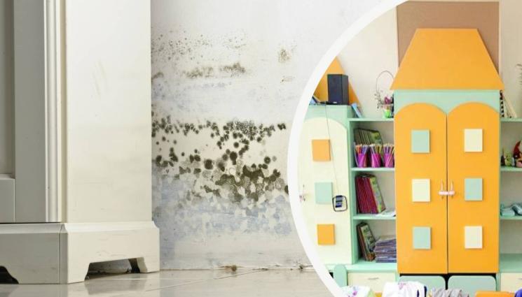детска градина мухъл - КОШМАР: Течове и мухъл в детска градина
